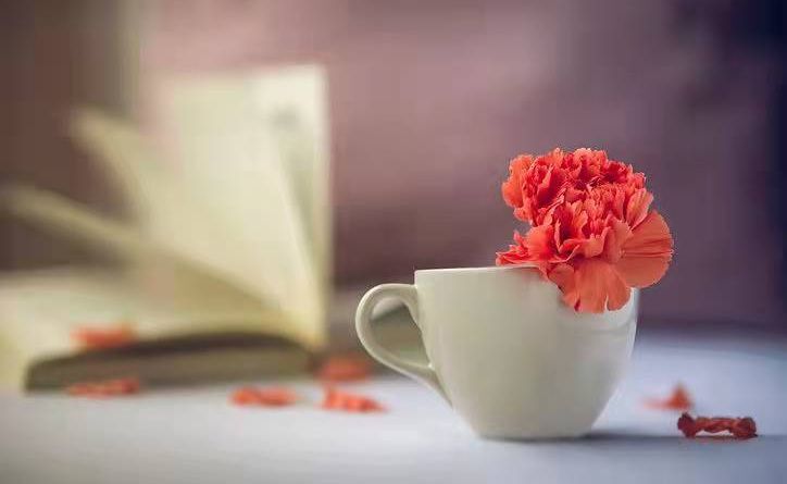 PDF有何特點(diǎn)?福昕高級(jí)PDF編輯器怎樣操作?